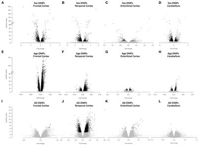 A Meta-Analysis of Brain DNA Methylation Across Sex, Age, and Alzheimer's Disease Points for Accelerated Epigenetic Aging in Neurodegeneration